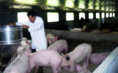 Hội nông dân xã Tân Tiến Cùng nông dân thoát nghèo, làm giàu